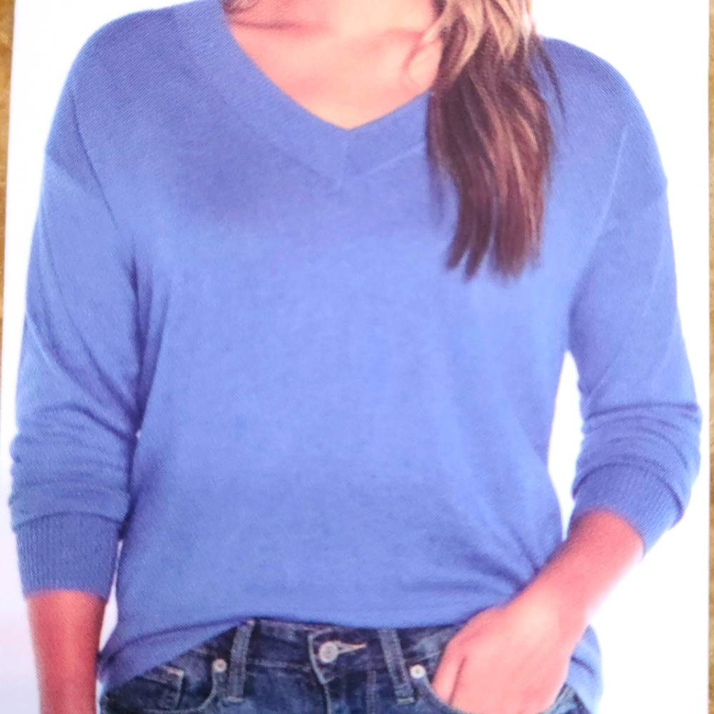 Gap Blue Light Weight V-Neck Sweater
